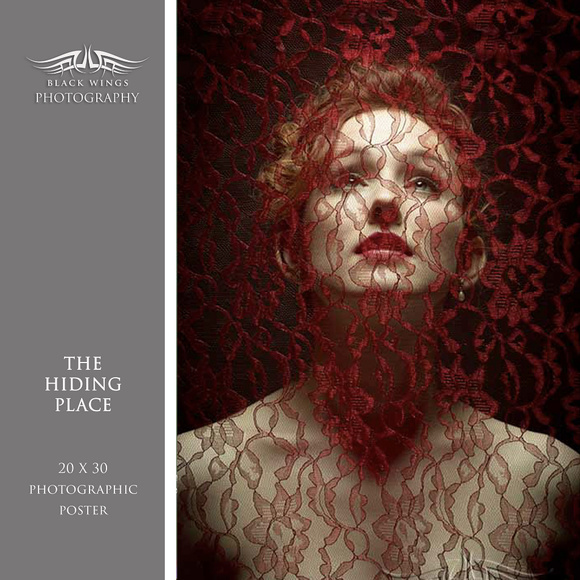 THE HIDING PLACE 20X30 PHOTO POSTER - Picture 1 of 2